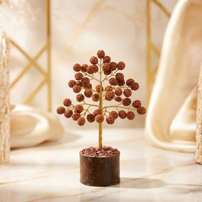 Rudraksh Tree