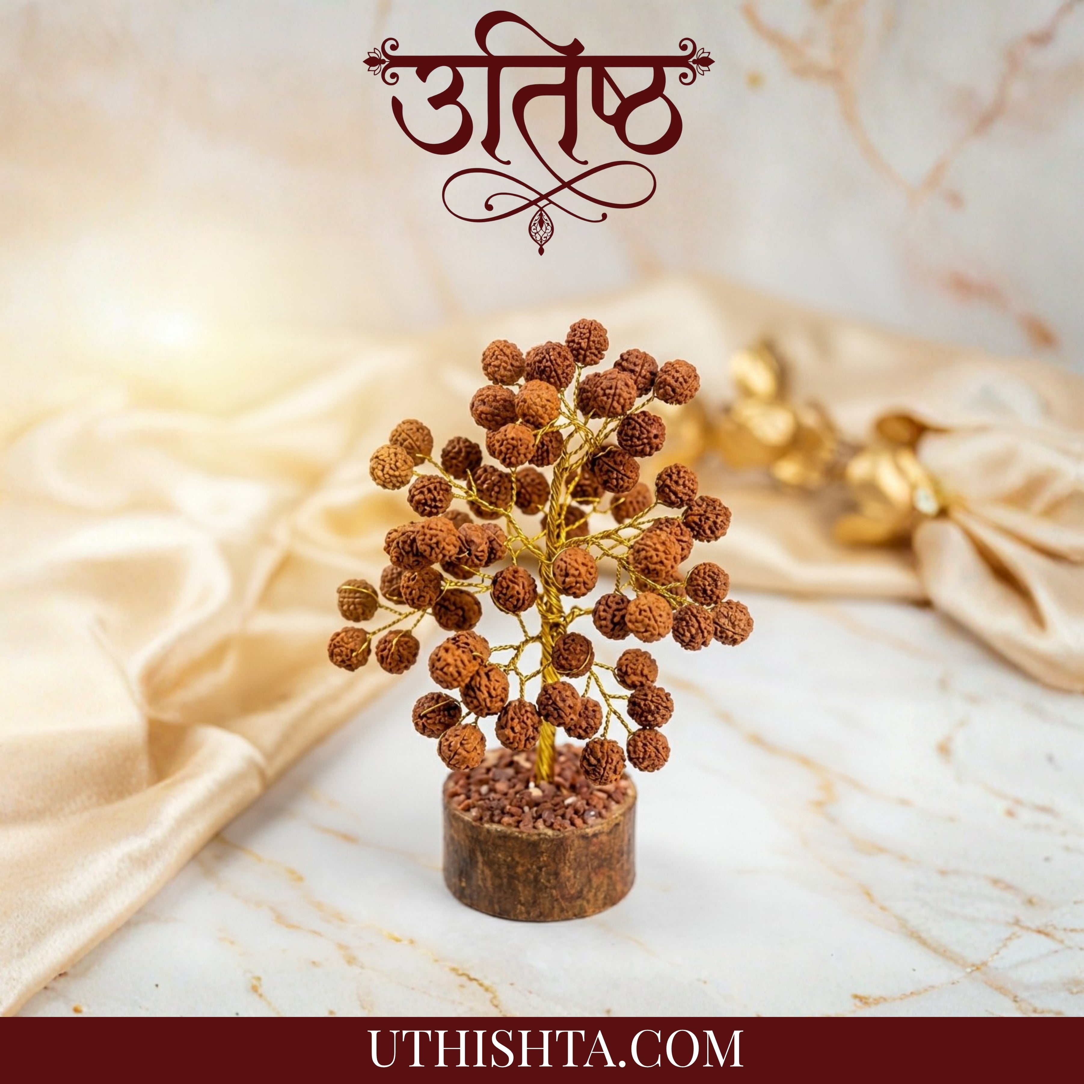 RUDRAKSH TREE