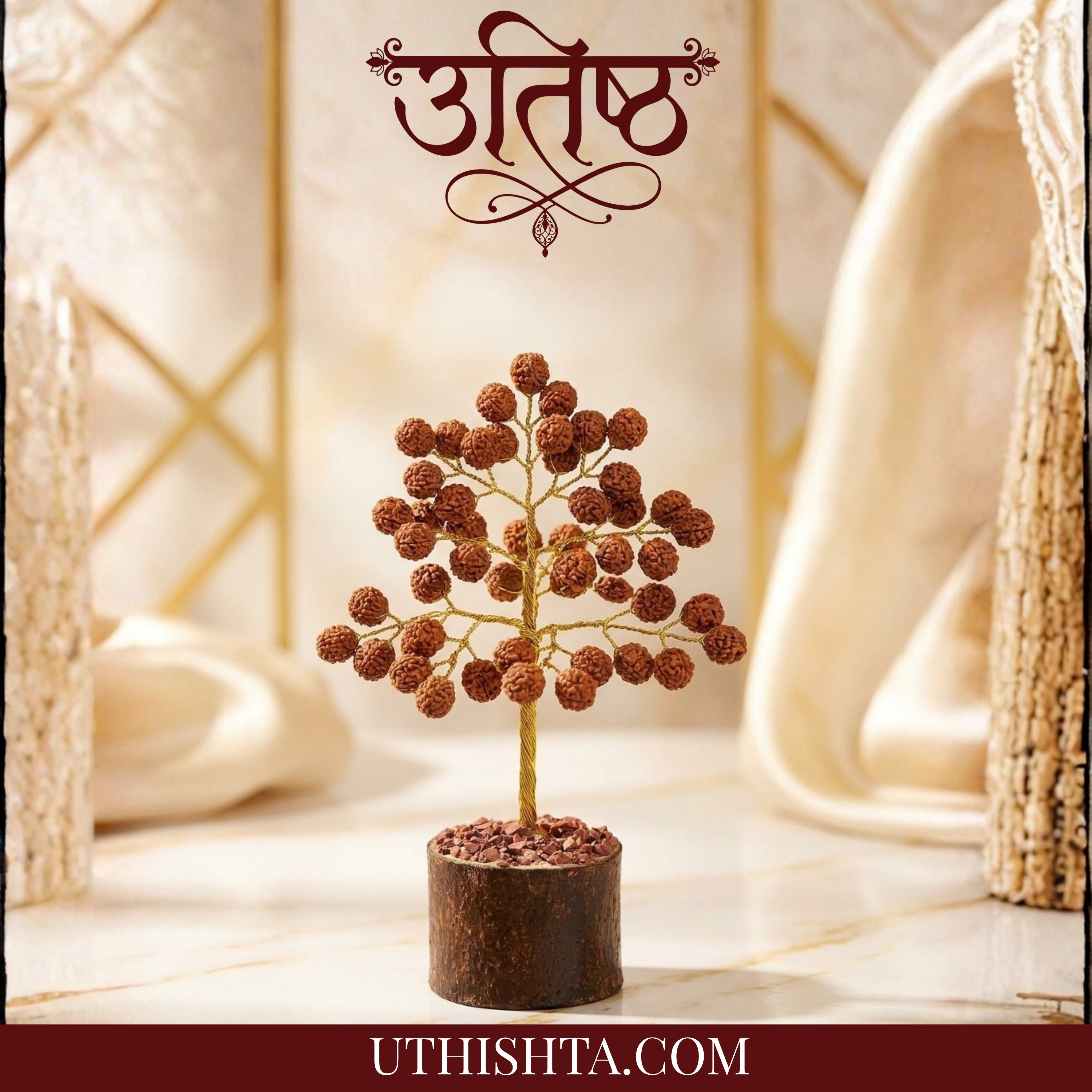 RUDRAKSH TREE