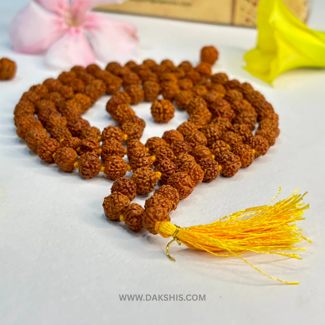 rudraksha