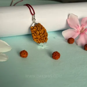 Rudraksha