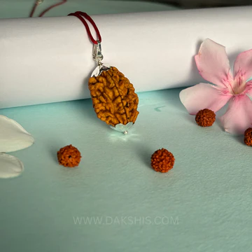 Rudraksha