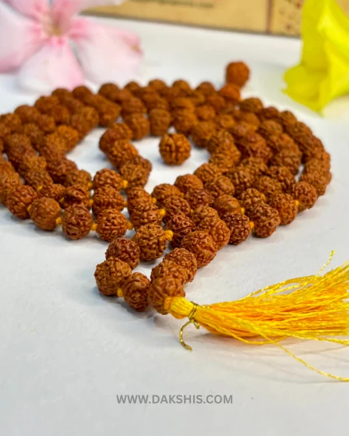 RUDRASHA MALA